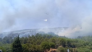 Bornova'da çıkan orman yangını kontrol altına alındı