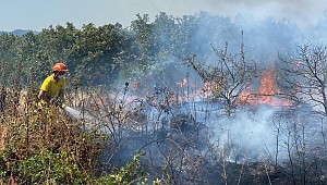 Çanakkale'de çıkan orman yangını söndürüldü