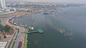 İzmir Körfezi'nde balık ölümlerinin ardından yosun kirliliği yaşanıyor