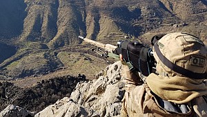 11 PKK'lı terörist etkisiz hale getirildi